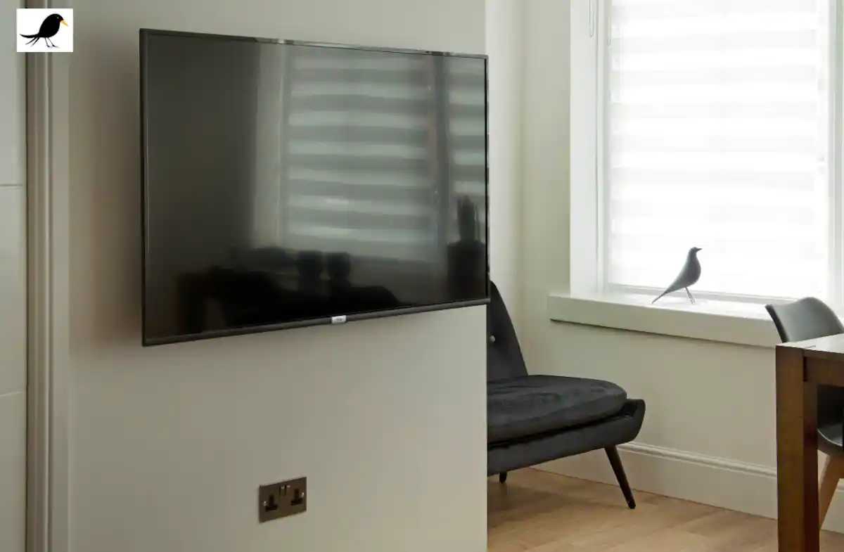 Wall-mounted TV 