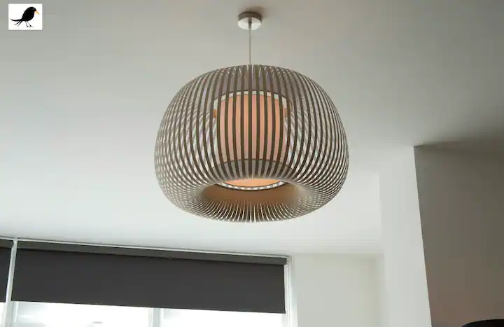 Ceiling lampshade