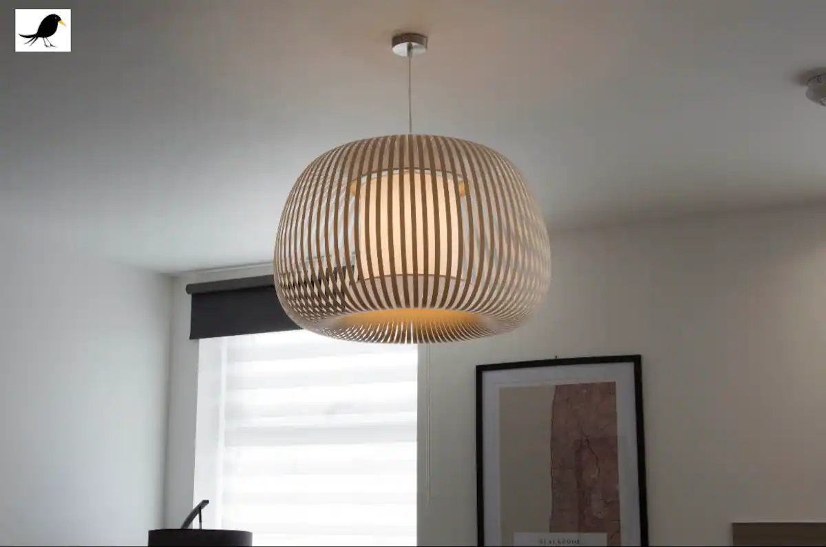 Ceiling lampshade